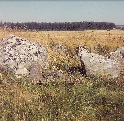 Chambered Tomb at Evelix