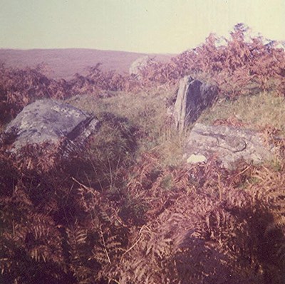 Chambered Tomb at Kinloch