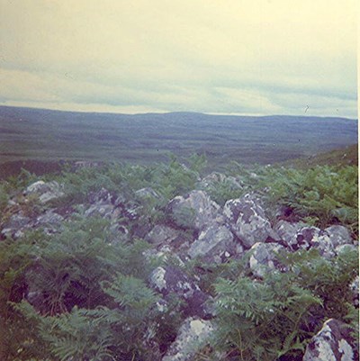 Chambered Tomb at Achageary, Strathnaver ~ Cairn