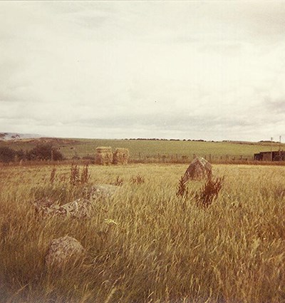 Chambered Tomb ~ Cullerne Ring Cairn, near Inverness