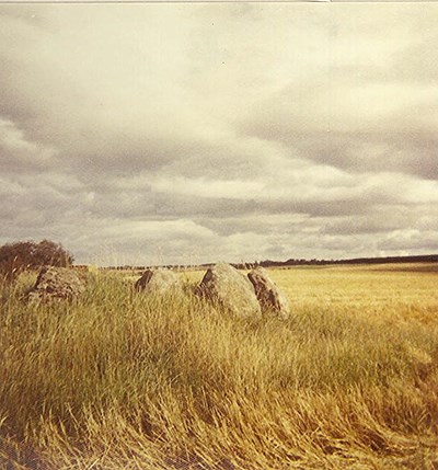 Chambered Tomb ~ Cullerne Ring Cairn, near Inverness