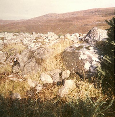 Chambered Tomb ~ Chamber of Skelpick Round Cairn (239)
