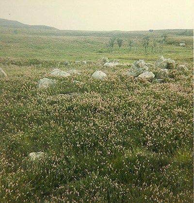 Hut Circle, on Seanval to Clyne Old Track