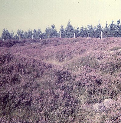 Hut Circle, Dalharold, Strathnaver