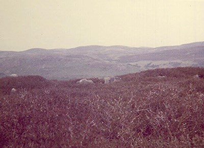 Hut Circle, Creag an Amalaidh (111)