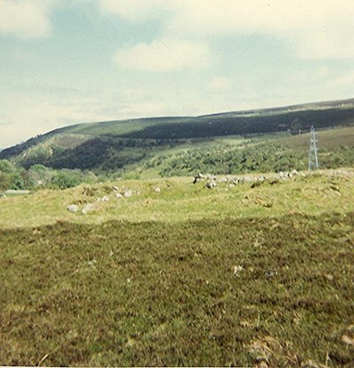 Enclosure ~ Brae Langwell, Berriedale