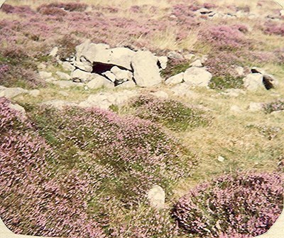 Homestead below Learable Hill (on west)