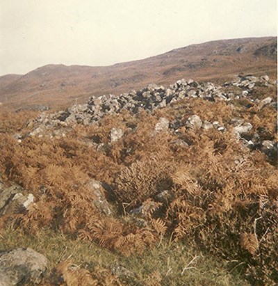 Wag/Wheelhouse at Ach Coillena Borgie ~ outside broch