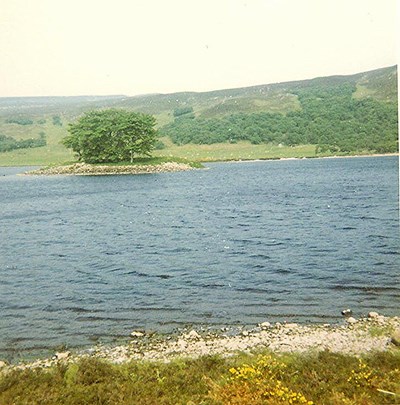 Wag/Wheelhouse ~ Island, Loch Brora