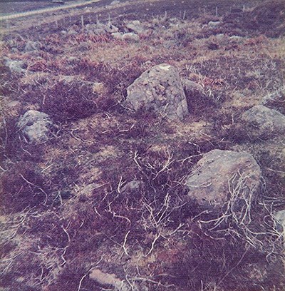 Enclosure below Duchary Broch