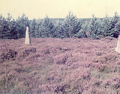 Stone Circle at Dalharold, Strathnaver