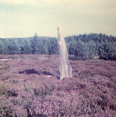 Stone Circle at Dalharold, Strathnaver