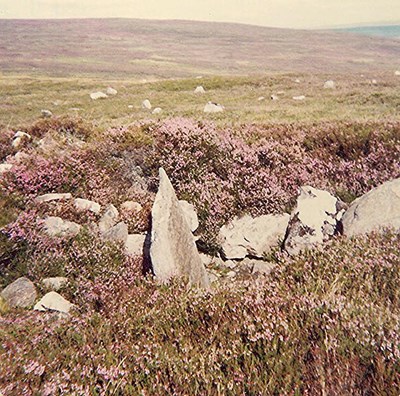 Chambered Cairn at Learable ~ on cairn, south of standing stone