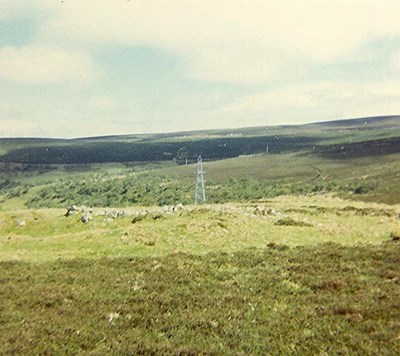 Hut Circle at Brae Langwell, Berridale