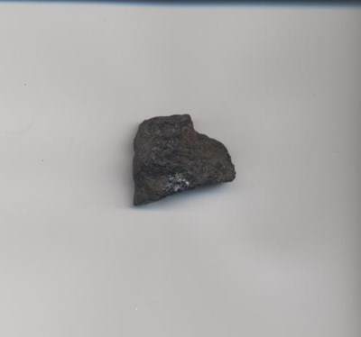 Coal fragment found in survey of Dornoch Business Park 2006
