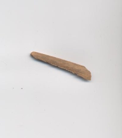 Bone fragment from survey of Dornoch Business Park 2006