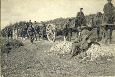 Our 60 Pounders on trek after the invasion