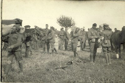 Rations at Signy Signets