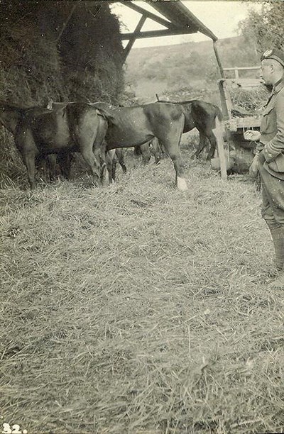 R-W & his horses at Septmonts