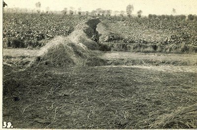 C Company Trench and a way across the road