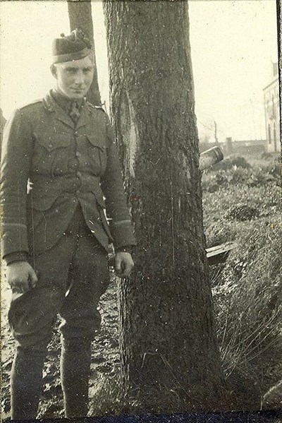 Rooke and a shell buried in a tree