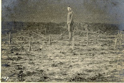 Barbed wire entanglement after treatment by machine gun fire