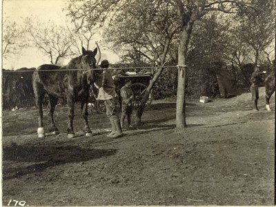 Soldiers with horses