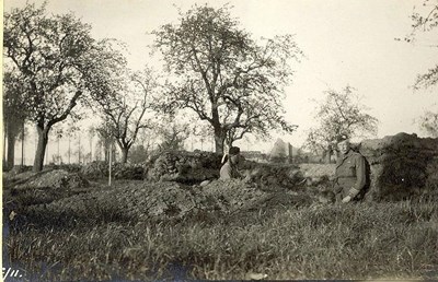 Flamenderie Farm and apple blossom