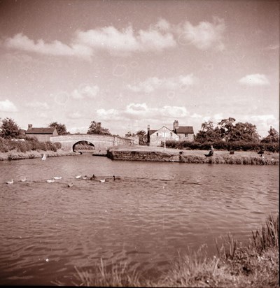 Ducks on a river with an arched bridge and men fishing at Framelton