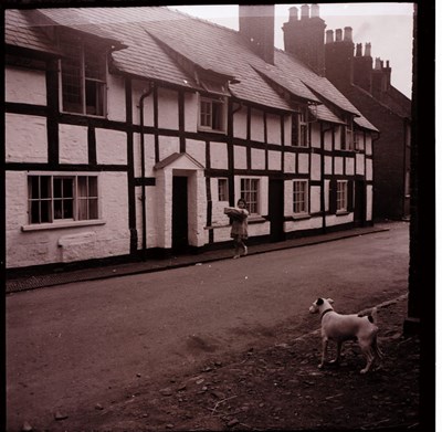 Houses at Ellesmere 