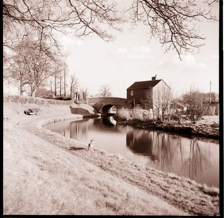 Third view of the canal at Whittington with a dog at centre