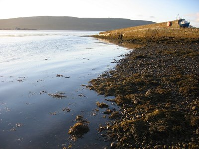 Pier at Meikle Ferry 2009