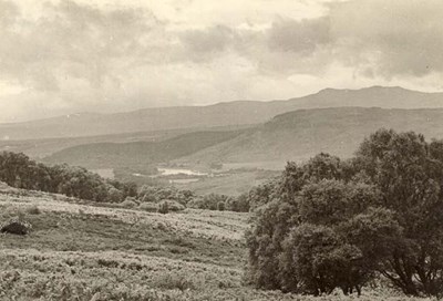 Christmas card with photograph of Ross-shire hills.