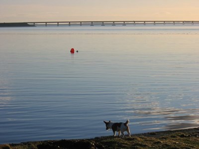 Dornoch Firth Bridge from Meikle Ferry