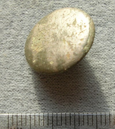 Button found in Dornoch woods