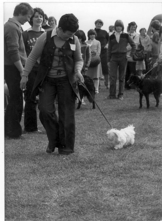 Dornoch Festival Week ~ Pet competition