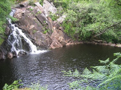 Torbol Salmon Ladder 2009 bottom pool