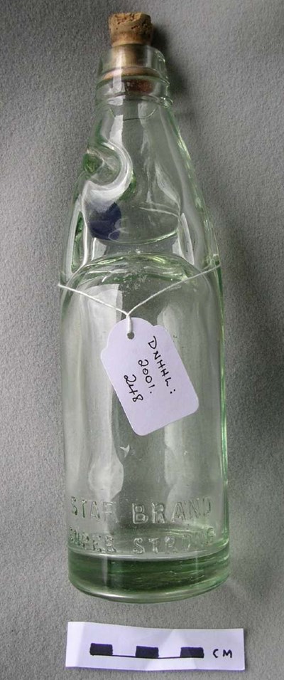 Glass fizzy drinks bottle