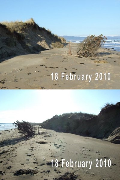 Dornoch links dune erosion Feb 2010