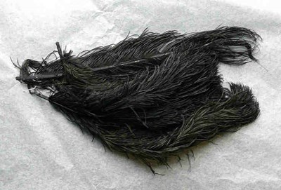 Black ostrich feathers