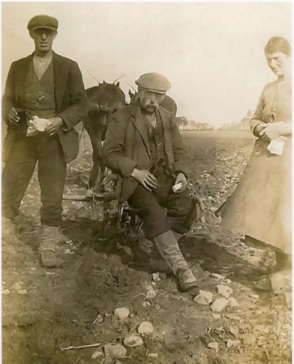 Group at Embo Mains Farm c 1930's